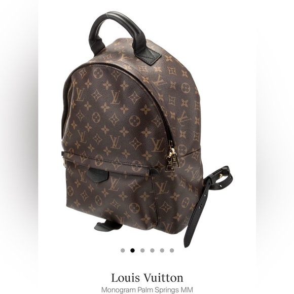 Louis Vuitton Monogram Palm Springs MM - Picture 4 of 5